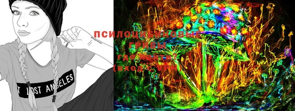 шишки Алексеевка