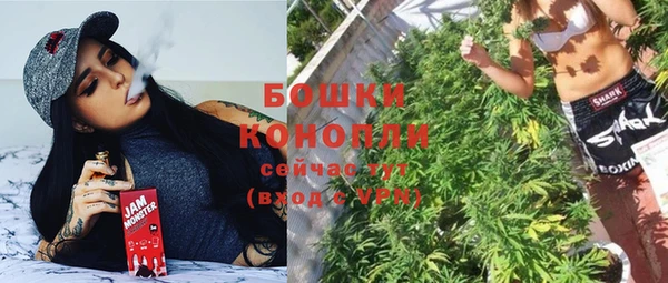 шишки Алексеевка
