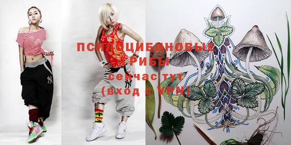ECSTASY Алексин