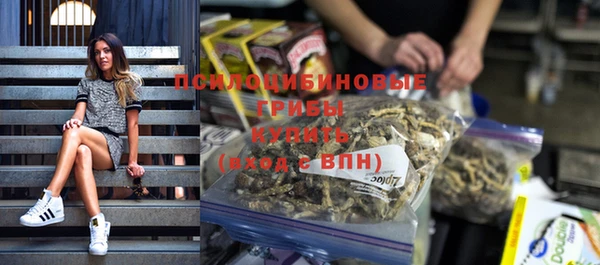 спиды Михайловка